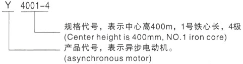 西安泰富西玛Y系列(H355-1000)高压YE2-355M-4三相异步电机型号说明