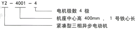 YR系列(H355-1000)高压YE2-355M-4三相异步电机西安西玛电机型号说明